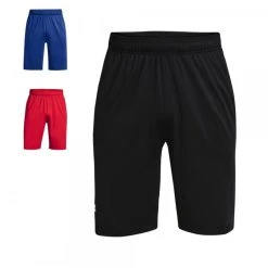 Under Armour, Inc. Under Armour Raid 2.0 Herren Shorts Knielang